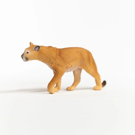 Cougar