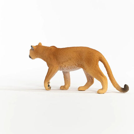 Cougar
