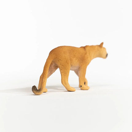 Cougar