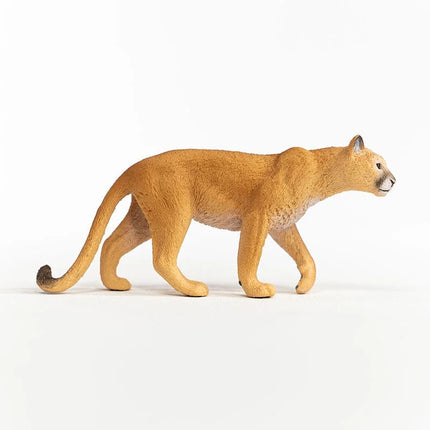 Cougar