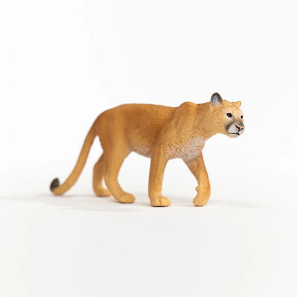 Cougar