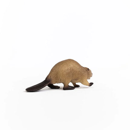 Beaver