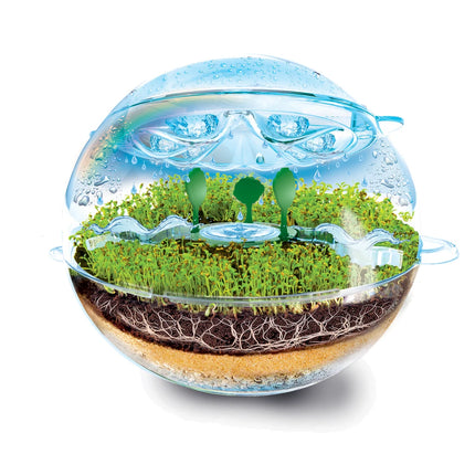 Ecosphere Terrarium (FRANCAIS)
