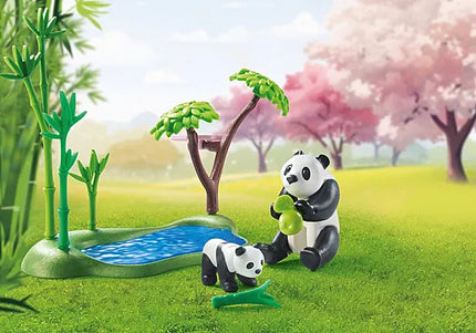 Asian Garden with Panda