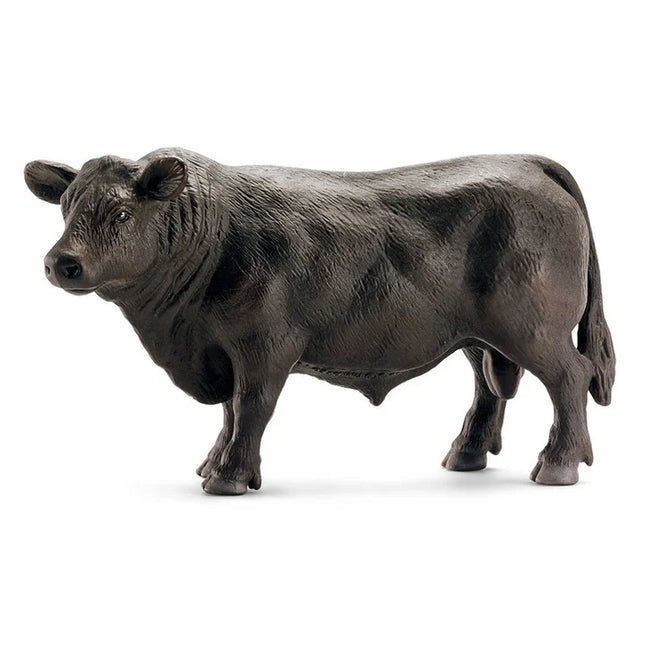Black Angus Bull
