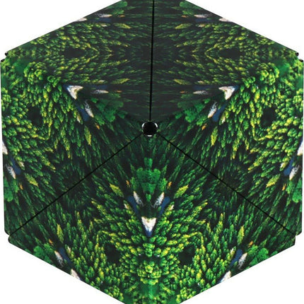 Shashibo: Forest