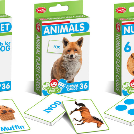 Basics FlashCards