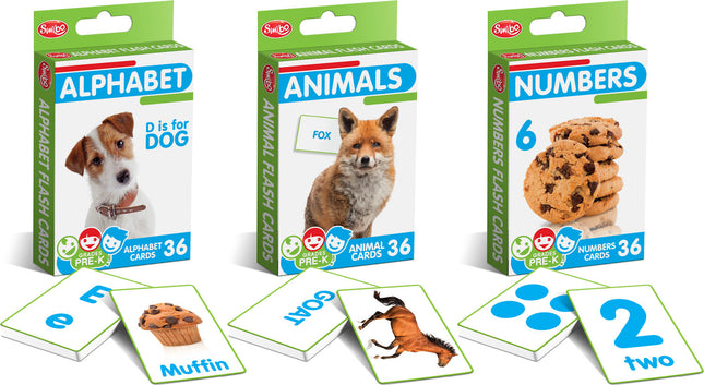 Basics FlashCards