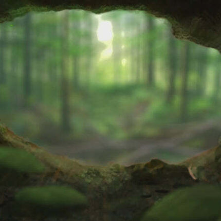 Forest Shuffle