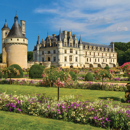 Premium Collection Castle in the Loire jigsaw puzzle (1000 Pcs) City