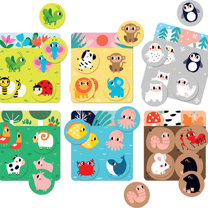 Let's Play Habitat Bingo
