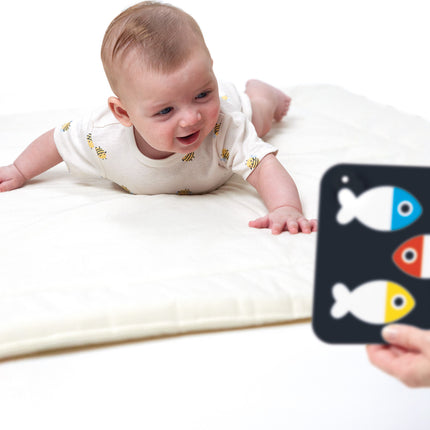 High Contrast Baby Cards Birth-3 Months