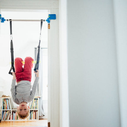 Playzone-Fit kidtrix Deluxe Doorway Swing