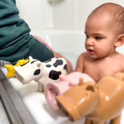 Barnyard Bath Pals Set of 3