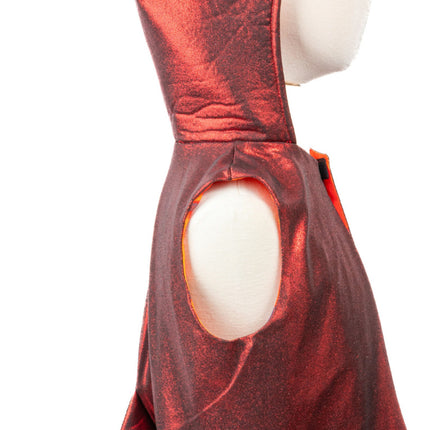 The All Day Everyday Dragon Vest (Size 5-6)