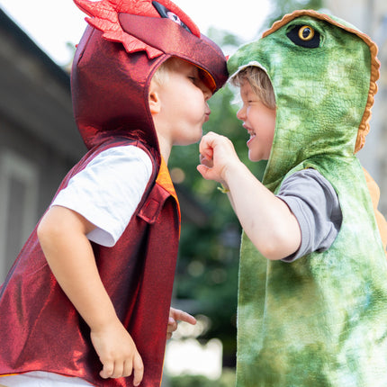 The All Day Everyday Dragon Vest (Size 5-6)