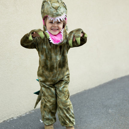 A Land Before Mine Deluxe Raptor (Size 5-6)