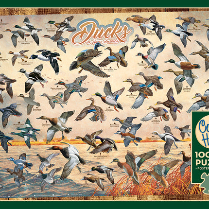 Ducks of North America puzzle (1000 pc)