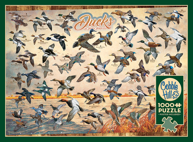 Ducks of North America puzzle (1000 pc)