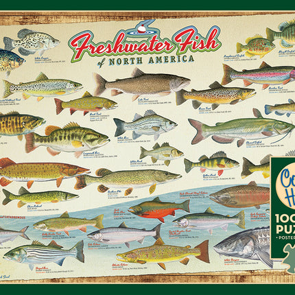 Freshwater Fish of North America puzzle (1000 pc)
