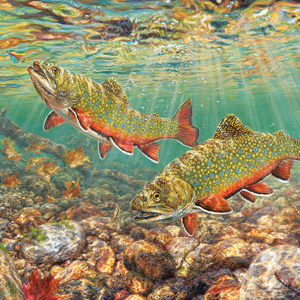 Brook Trout puzzle (1000 pc)