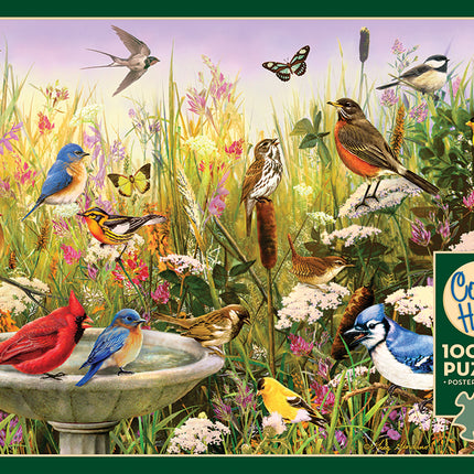 Feathered Friends puzzle (1000 pc)