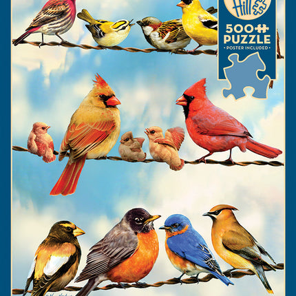 Birds on a Wire puzzle (500 pc)