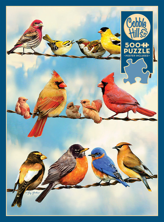 Birds on a Wire puzzle (500 pc)