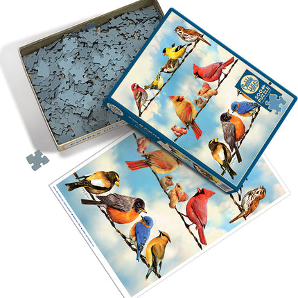 Birds on a Wire puzzle (500 pc)