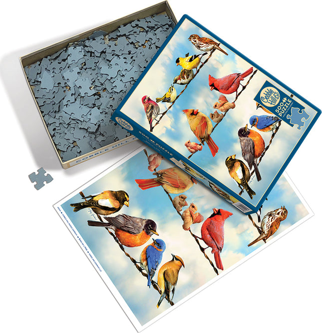 Birds on a Wire puzzle (500 pc)