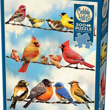 Birds on a Wire puzzle (500 pc)
