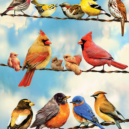 Birds on a Wire puzzle (500 pc)