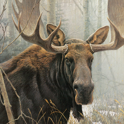 Bull Moose puzzle (500 pc)