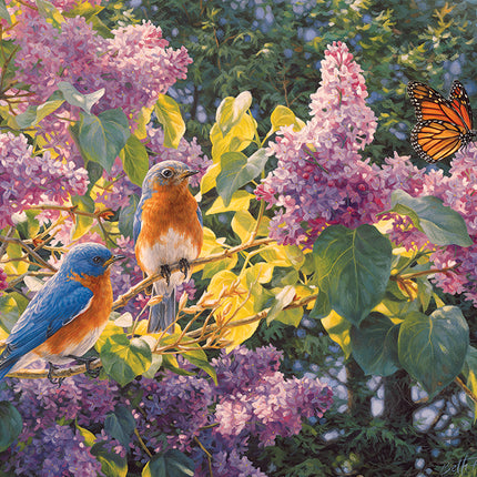 Spring Interlude puzzle (500 pc)