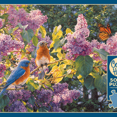 Spring Interlude puzzle (500 pc)