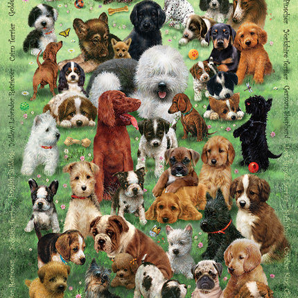 Puppy Love puzzle (350 pc)