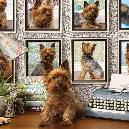 Yorkies Are My Type