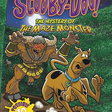 The Mystery of the Maze Monster