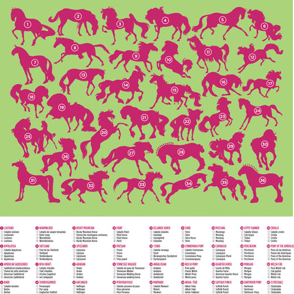 100-pc 36 Puzzle - Horses
