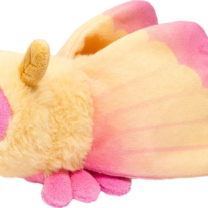 Rosy Maple Moth