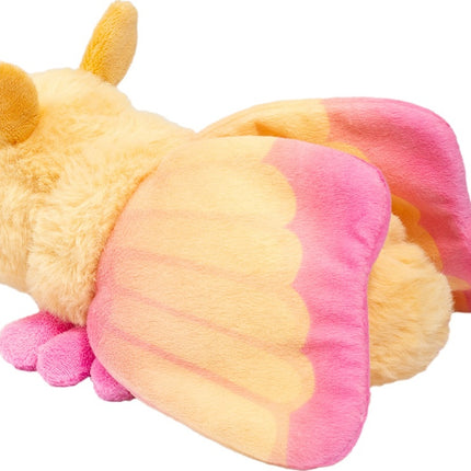 Rosy Maple Moth