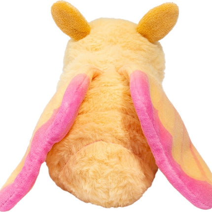 Rosy Maple Moth