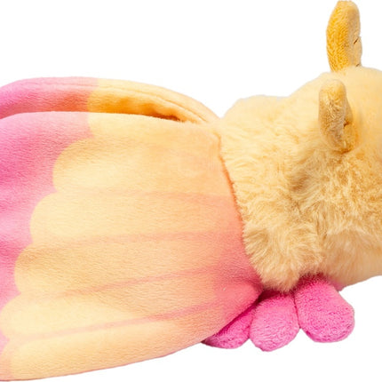 Rosy Maple Moth