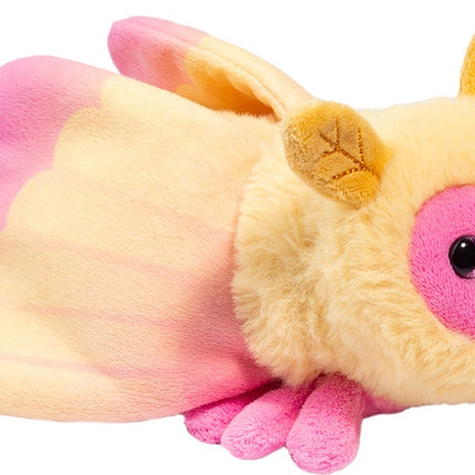 Rosy Maple Moth