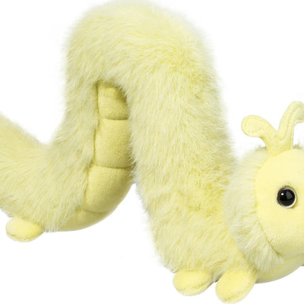 Inchy Inchworm