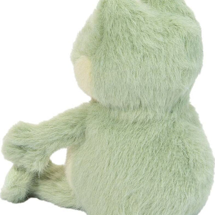 Flip Frog