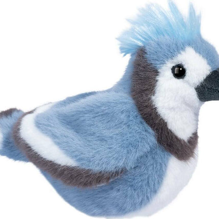 Denim Blue Jay