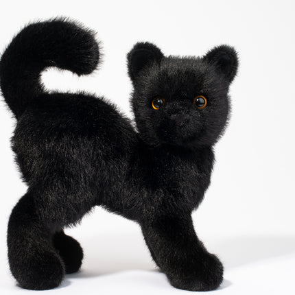 Scaredy Black Cat
