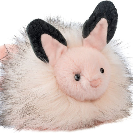 Skimmer Sea Bunny Slug