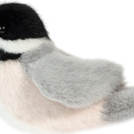 Chipper Chickadee